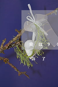 貸款9000逾期了(貸款2000逾期被起訴了)