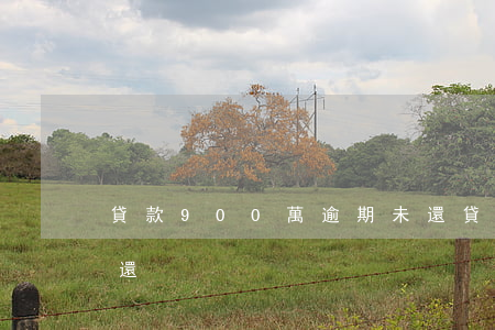 貸款900萬逾期未還(貸款900萬逾期未還)