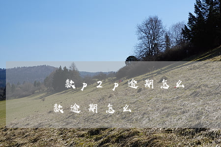 貸款p2p逾期怎么辦(網(wǎng)貸貸款逾期怎么辦)