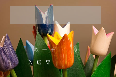 貸款一千萬無力償還-貸款一千萬不還有什么后果