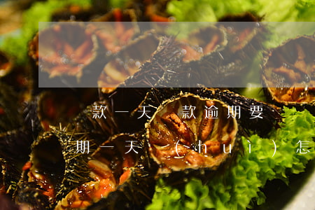 貸款一天還款逾期要緊嗎(貸款每月還利息逾期一天會(huì)怎么辦)