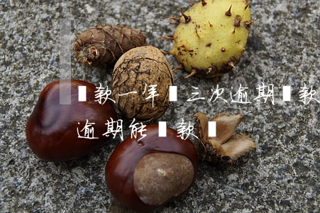 貸款一年內三次逾期還款(連續(xù)兩次逾期能貸款嗎)