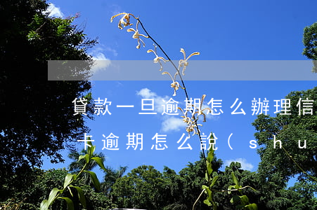 貸款一旦逾期怎么辦理信用卡-辦貸款信用卡逾期怎么說(shuō)
