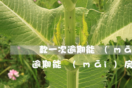 貸款一次逾期能買(mǎi)房嗎(貸款一次逾期能買(mǎi)房嗎)
