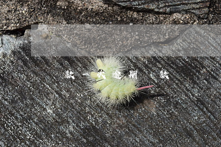 貸款一次逾期還款嗎