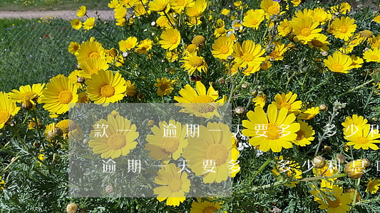 貸款一萬逾期一天要多還多少利息-貸款一萬逾期一天要多還多少利息呢