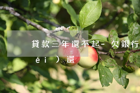 貸款三年還不起-欠銀行貸款三年多沒(méi)還