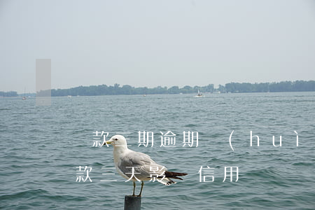 貸款三期逾期會(huì)怎么樣(逾期還貸款三天影響信用嗎)