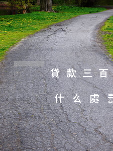 貸款三百萬還不起(貸款300萬無力償還,有什么處罰)