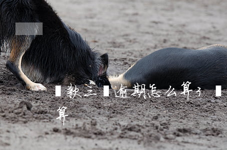 貸款三萬逾期怎么算(3萬貸款逾期利息怎么算)