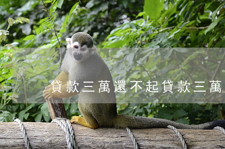 貸款三萬還不起(貸款三萬還不起怎么辦)