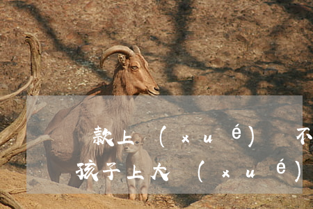 貸款上學(xué)還不起-貸款還不上對孩子上大學(xué)有影響嗎?