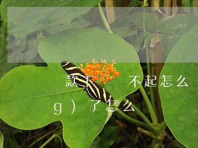 貸款下來還不起怎么辦(貸款還不動(dòng)了怎么辦)