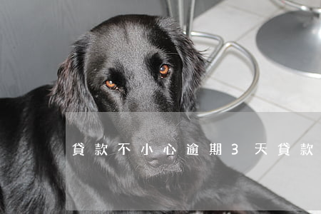 貸款不小心逾期3天(貸款逾期兩天)
