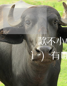 貸款不小心逾期影響大嗎(貸款逾期會(huì)有哪些影響)