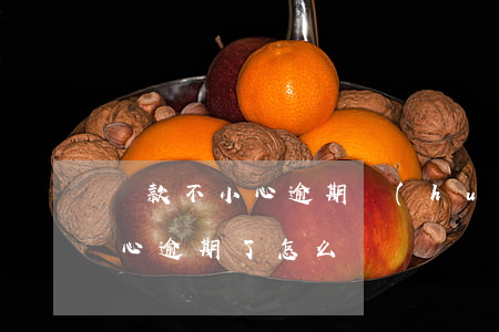 貸款不小心逾期會(huì)怎樣(房貸不小心逾期了怎么辦)