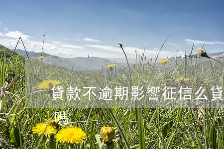 貸款不逾期影響征信么(貸款不逾期會上征信嗎)