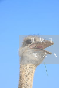 貸款不逾期辦信用卡(銀行貸款有逾期可以辦理信用卡嗎)