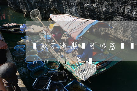 貸款不逾期還可以房貸嗎(房貸逾期不還會(huì)怎樣)