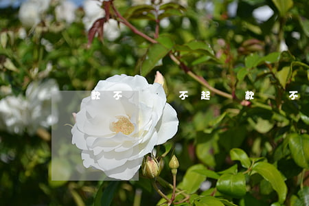 貸款不過還不起 貸款 還不起