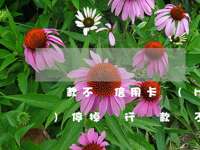 貸款不還信用卡會(huì)不會(huì)停掉(銀行貸款還不上信用卡會(huì)被停嗎)