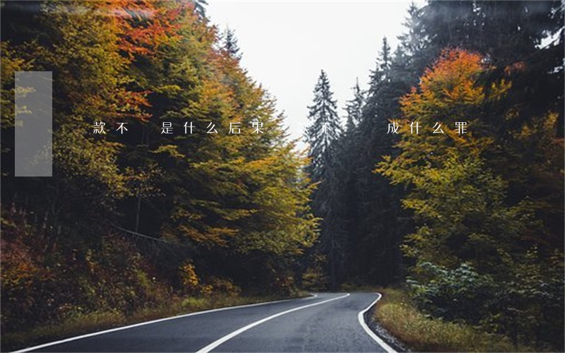 貸款不還是什么后果(貸款不還構成什么罪)