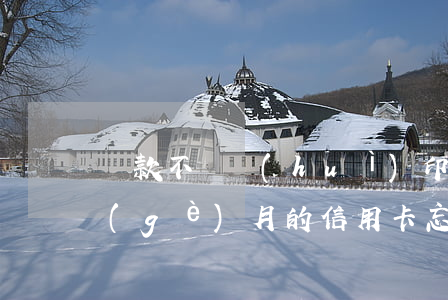 貸款不還會(huì)印象信用卡嗎(有一個(gè)月的信用卡忘記還了會(huì)影響貸款嗎)