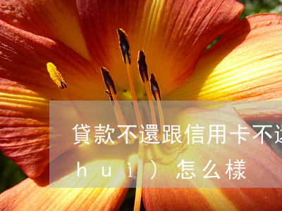 貸款不還跟信用卡不還(信用卡借款不還會(huì)怎么樣)