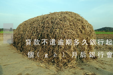 貸款不還逾期多久銀行起訴 銀行貸款逾期幾個(gè)月后銀行會(huì)起訴?