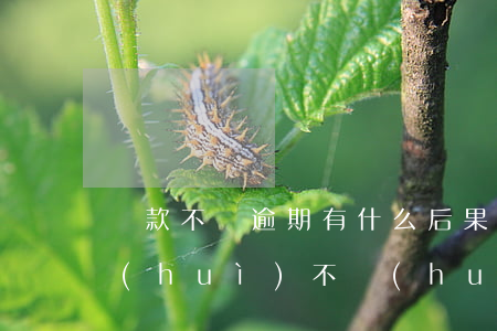 貸款不還逾期有什么后果(貸款逾期后還了會(huì)不會(huì)就沒(méi)事了)