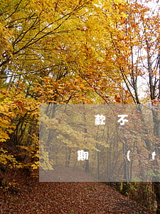 貸款不還逾期費(fèi)用怎么算(借貸逾期費(fèi)有標(biāo)準(zhǔn)么)