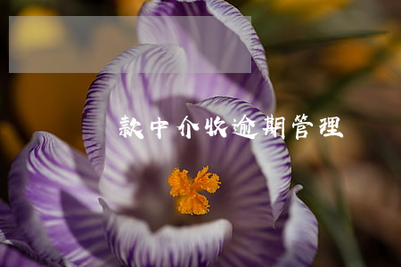 貸款中介收逾期管理費(貸款收中介費犯法嗎)