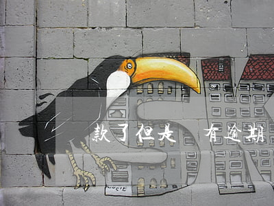 貸款了但是沒有逾期