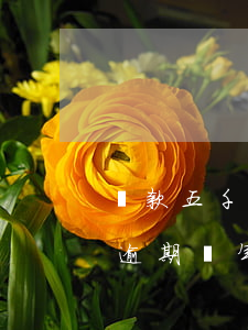 貸款五千逾期一年未還(貸款5萬(wàn)逾期兩年需要還多少)