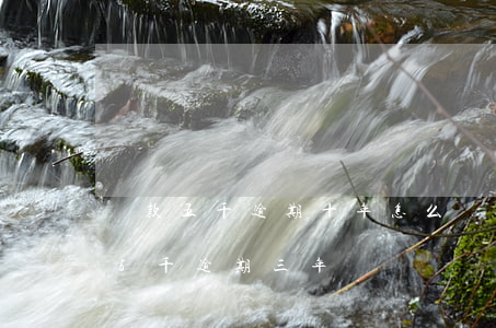 貸款五千逾期十年怎么辦(網(wǎng)貸5千逾期三年)