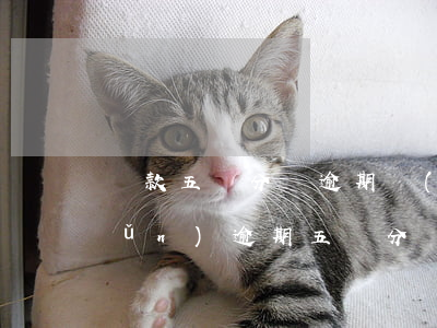 貸款五級分類逾期標(biāo)準(zhǔn)(逾期五級分類次級有什么影響)