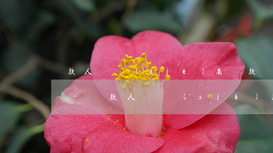 貸款人員協(xié)商還款卻不銷賬怎么辦-貸款人員協(xié)商還款卻不銷賬怎么辦呢