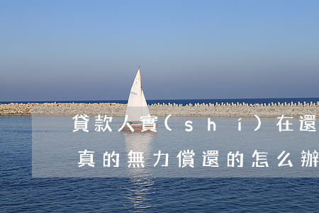 貸款人實(shí)在還不起怎么辦（貸款人真的無力償還的怎么辦）