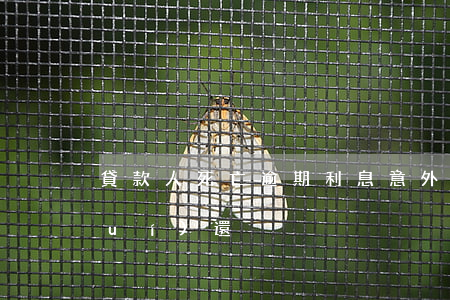 貸款人死亡逾期利息(意外死亡貸款誰(shuí)還)