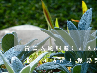 貸款人逾期擔(dān)保人怎么辦(幫別人擔(dān)保貸款逾期了怎么辦)