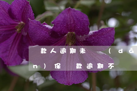 貸款人逾期未還擔(dān)保人(擔(dān)保貸款逾期不還擔(dān)保人會(huì)怎么樣)