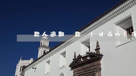 貸款人逾期還款擔(dān)保人