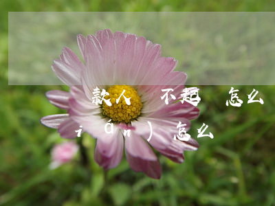 貸款人還不起貸怎么辦-貸款人不還錢(qián)怎么辦