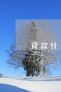 貸款什么叫逾期還款(貸款逾期是什么意思)
