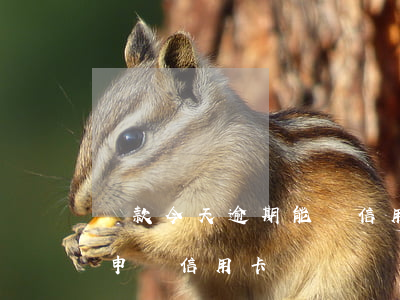 貸款今天逾期能辦信用卡嗎(有貸款逾期可以申請信用卡嗎)