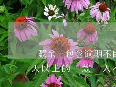 貸款余額包含逾期不良(銀行可以把逾期多少天以上的貸款納入不良)