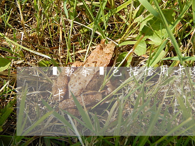 貸款余額包括信用卡透支嗎(什么叫透支信用卡)