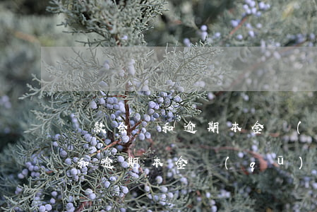 貸款余額和逾期本金區(qū)別(貸款余額和逾期本金區(qū)別)