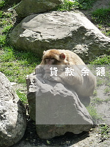貸款余額與逾期余額(貸款余額與逾期余額)