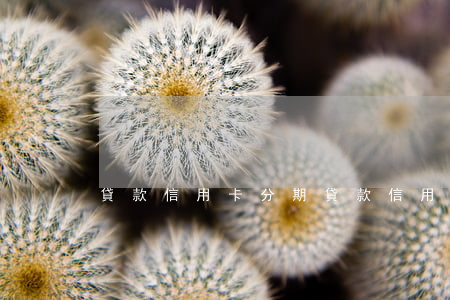 貸款 信用卡分期(貸款信用卡分期還能再用嗎)